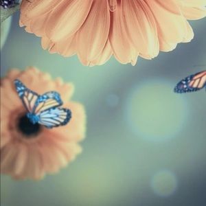 Meet your Posher, Sonia